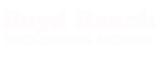Boyd Ranch Logo